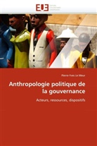 Pierre-Yves Le Meur, Le meur-p - Anthropologie politique de la