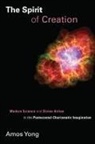 Amos Yong - The Spirit of Creation