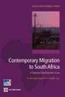 Aurelia (EDT)/ Landau Segatti, Loren Landau, Loren B. Landau, Aurelia Segatti - Contemporary Migration to South Africa