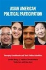 Jane Junn, Taeku Lee, S Karthick Ramakrishnan, S. Karthick Ramakrishnan, Janelle Wong, Janelle (EDT)/ Ramakrishnan Wong... - Asian American Political Participation