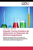 Jose R Parga, Jose R. Parga, Victo Vazquez, Victor Vazquez - Estudio Termo-Cinetico de Adsorcion en Especies de Electrocoagulacion