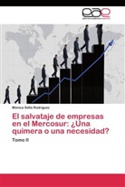 Mónica Sofía Rodríguez - El salvataje de empresas en el Mercosur: ¿Una quimera o una necesidad?