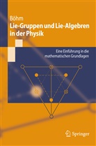 Manfred Böhm - Lie-Gruppen und Lie-Algebren in der Physik