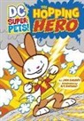 John Sazaklis, John/ Baltazar Sazaklis, Art Baltazar - The Hopping Hero