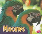 Cecilia Pinto Mccarthy, Cecilia Pinto/ Saunders-Smith Mccarthy, Gail Saunders-Smith - Macaws