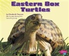 Elizabeth Thomas, Elizabeth/ Saunders-Smith Thomas, Gail Saunders-Smith - Eastern Box Turtles