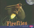Mary R. Dunn, Mary R./ Saunders-Smith Dunn - Fireflies