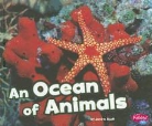 Janine Scott - An Ocean of Animals