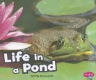 Craig Hammersmith - Life in a Pond