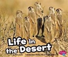 Alison Auch - Life in the Desert