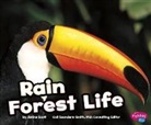 Janine Scott - Rain Forest Life