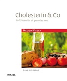 Ulrich Hildebrandt - Cholesterin & Co.