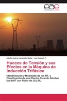 Luis Guasch P, Luis Guasch P., Adolfo André Jaramillo Matta, Adolfo Andrés Jaramillo Matta - Huecos de Tensión y sus Efectos en la Máquina de Inducción Trifásica