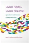 Paul Spoonley, Erin Tolley, Paul Spoonley - Diverse Nations, Diverse Responses: Approaches to Social Cohesion in Immigrant Societies Volume 172