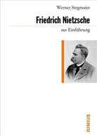 Werner Stegmaier - Friedrich Nietzsche zur Einführung