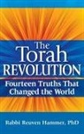 PhD Hammer, Rabbi Reuven Hammer, Reuven Hammer - Torah Revolution