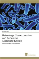 Simone Thum - Heterologe Überexpression von Genen zur Acetonproduktion
