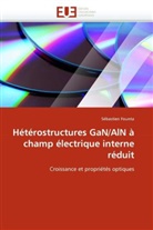 Sébastien Founta, Founta-S - Heterostructures gan aln a champ