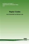 Michael Luby, Amin Shokrollahi - Raptor Codes