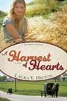 Laura V. Hilton - A Harvest of Hearts