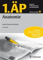 Andrea Drechsel-Buchheidt - 1. ÄP: Anatomie