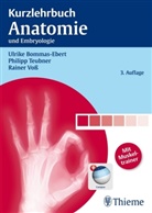 Ulrike Bommas, Bommas-Eber, Ulrik Bommas-Ebert, Ulrike Bommas-Ebert, Teubne, Philip Teubner... - Kurzlehrbuch Anatomie und Embryologie