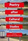 Heidi R. (EDT)/ Chasar Bean, Mike Chasar, Heidi R. Bean, Mike Chasar - Poetry After Cultural Studies
