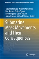 Jason Chaytor, Ken Ikehara, Ken Ikehara et al, Kiichir Kawamura, Kiichiro Kawamura, David Mosher... - Submarine Mass Movements and Their Consequences