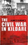 James Durney - Civil War in Kildare