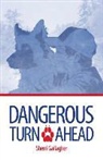 Sherri Gallagher, Sherry Galligar, Shiela Galligar - Dangerous Turn Ahead