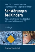 Katharina Husslein, Katharin Mendius, Katharina Mendius, Siegfried Priglinger, Susanne Schuett, Susanne u Schuett... - Sehstörungen bei Kindern