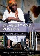 Arne H. Eide, Arne H. (EDT)/ Ingstad Eide, Arne Eide, Arne H. Eide, Benedicte Ingstad - Disability and Poverty