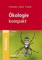 Bache, Sve Bacher, Sven Bacher, Brandl, Roland Brandl, Nentwi... - Ökologie kompakt