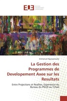 Emmanuel Ngueyanouba, Ngueyanouba-E - La gestion des programmes de