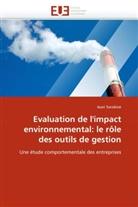 Iouri Sorokine, Sorokine-I - Evaluation de l impact