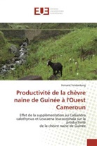 Fernand TENDONKENG, Tendonkeng-F - Productivite de la chevre naine