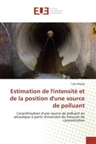 Talal Maalej, Maalej-T - Estimation de l intensite et de