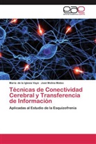 Marí de la Iglesia Vayá, María de la Iglesia Vayá, María de la Iglesia Vayá PhD, María de la Iglesia Vayá, José Molina Mateo, José Molina Mateo PhD - Técnicas de Conectividad Cerebral y Transferencia de Información