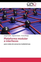 Ange de Castro, Angel de Castro, Jorg Portilla, Jorge Portilla, Teresa Riesgo - Plataforma modular e interfaces