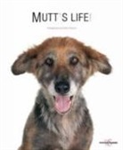 Fabio Petroni - Mutts Life