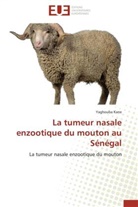 Yaghouba Kane, Kane-Y - La tumeur nasale enzootique du