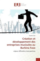 Issoufou Sare, Sare-I - Creation et developpement des
