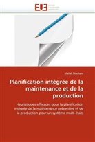 Mahdi Machani, Machani-M - Planification integree de la