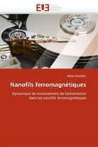 Abbas Ghaddar, Ghaddar-A - Nanofils ferromagnetiques