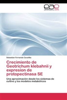Sebastian Fernando Cavalitto - Crecimiento de Geotrichum klebahnii y expresion de protopectinasa SE