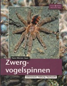 Hans-W Auer, Hans-Werner Auer - Zwergvogelspinnen