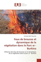 Sidzabda Djibril Dayamba, Dayamba-S - Feux de brousse et dynamique de