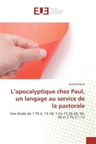 Samuel Dawai, Dawai-S - L apocalyptique chez paul, un