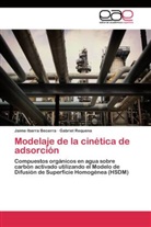 Jaim Ibarra Becerra, Jaime Ibarra Becerra, Gabriel Requena - Modelaje de la cinética de adsorción