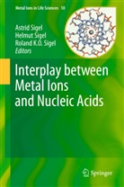 Roland KO Sigel, Astrid Sigel, Helmu Sigel, Helmut Sigel, Roland K. O. Sigel, Roland K.O. Sigel... - Interplay between Metal Ions and Nucleic Acids